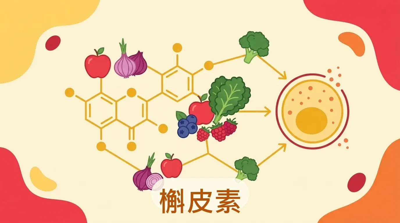 🟡 槲皮素(Quercetin):COVID 有前景,過敏證據薄弱