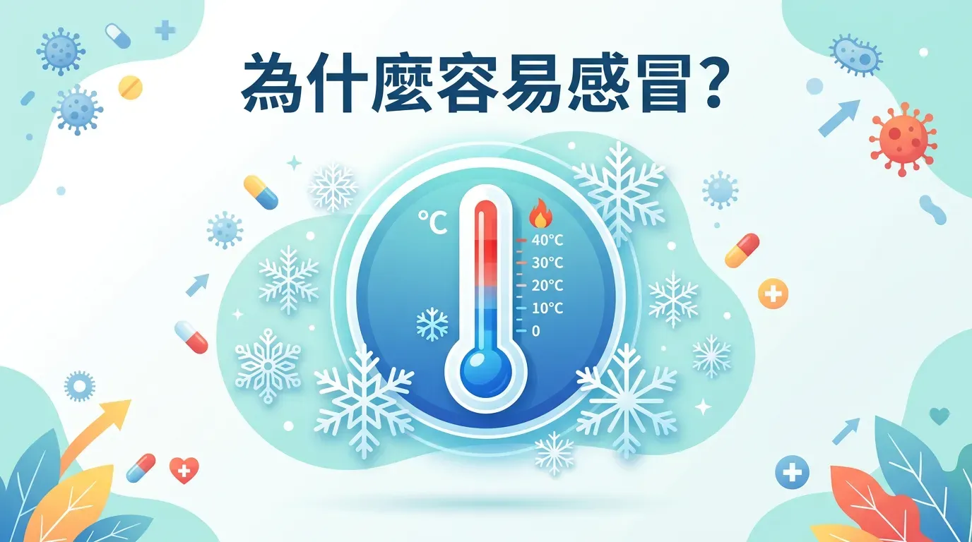全面盤點：快速摘要：為什麼冬天容易感冒？