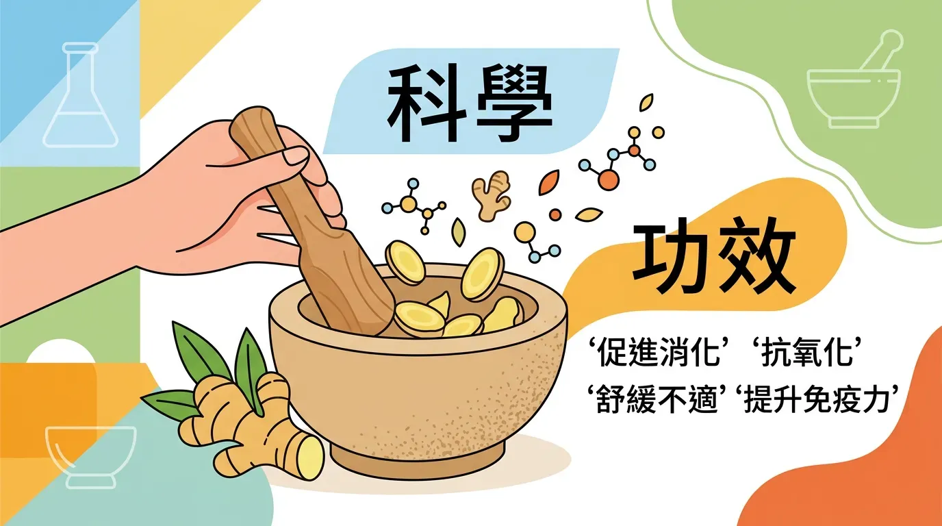 全面盤點：快速摘要：薑的科學實力