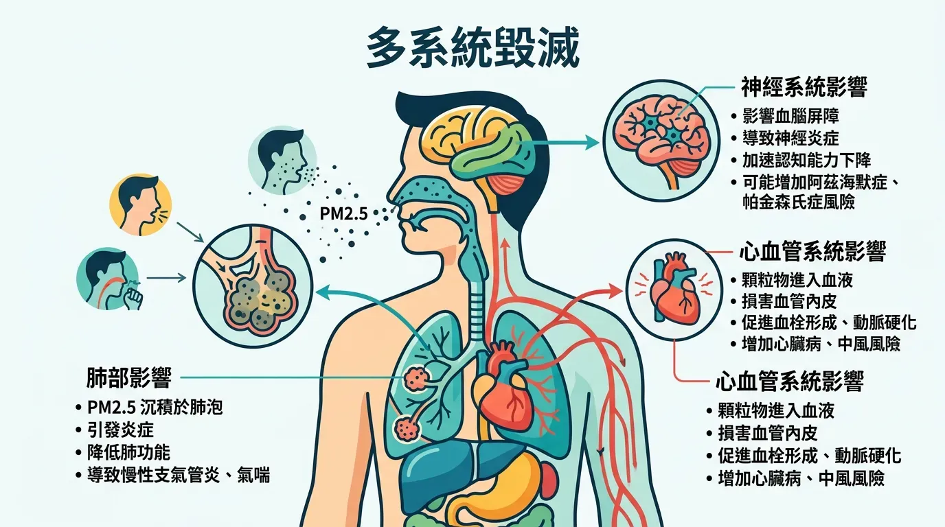 快速摘要：PM2.5 的多系統毀滅路徑