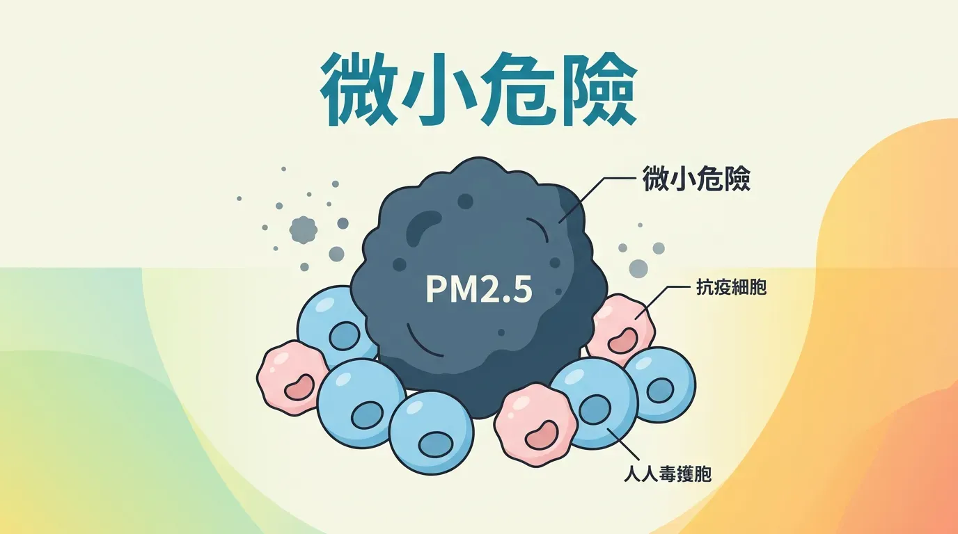 🔬 分子機制：為什麼「微小」代表「危險」？