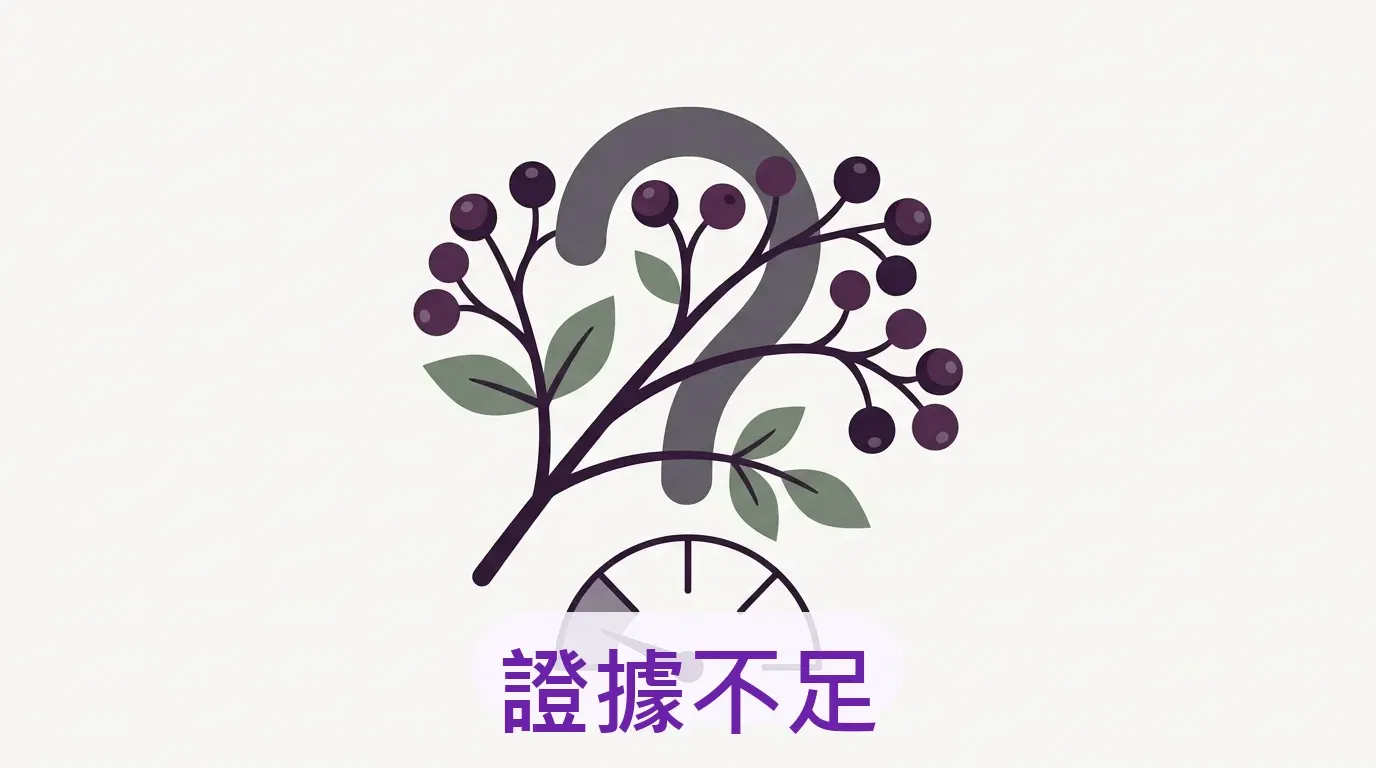 1️⃣ 接骨木莓（Elderberry）：人氣高，證據弱